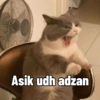 Tim
Asik udh adzan