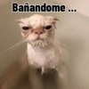 Bañandome ...