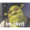 Shrek 8