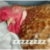 zzzzzzzz