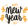 Happy New Year 2022 7