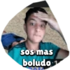 sos mas
boludo