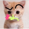 (