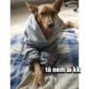 tô nem aí kk