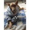 દ
૪:૨૨??