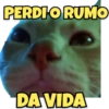 PERDI O RUMO
DA VIDA