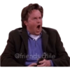 @friends.chile