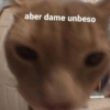 aber dame unbeso