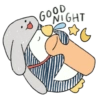 Pindoodly 8