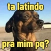 MEMES DAORA II 10