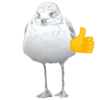 Birds 2.0 21