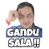 Hindustani Bhau 7
