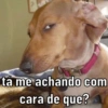 tá me achando com cara de que?