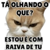 TÁ OLHANDO O
QUE?
ESTOU É COM
RAIVA DE TU
