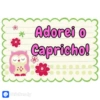 História e Geografia 9