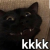 kkkk