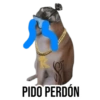 PIDO PERDÓN