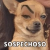 SOSPECHOSO