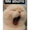 MEMEsTICKERS (1) 11