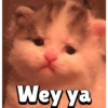 Wey ya