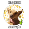 SELO MEG DE
15
APROVAÇÃO
S