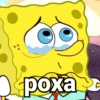 Bob esponja memes 12