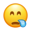 Emoji louco 17