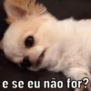 e se eu não for?