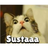 Sustaaa