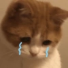 {}