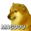 Memes pra vc baixar 7