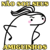 NÃO SOU SEUS AMIGUINHOS