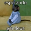 Memes icônicos 🗣️ 11