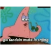 Petrik 6
