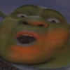 Shrek 16
