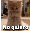 No quiero