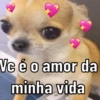 Vc é o amor da
minha vida