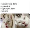 ✨ Türkçe komik ✨ 12