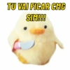 TU VAI FICAR CMG SIM!!!