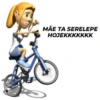 Memes variados e maravilhosos 11