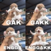 GAK GAKK
ENGGA ENGGAKK