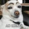 40
AH CHINGA