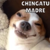 CHINGATU
MADRE