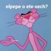 Memes Suciocrippy 5 20