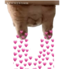 STICKERSMN