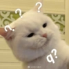 ANIMAIS E REAÇÕES 6
