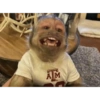 AM