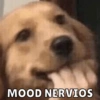 MOOD NERVIOS