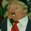 Memes 1.0 15