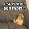 Michitos🐱💕 7